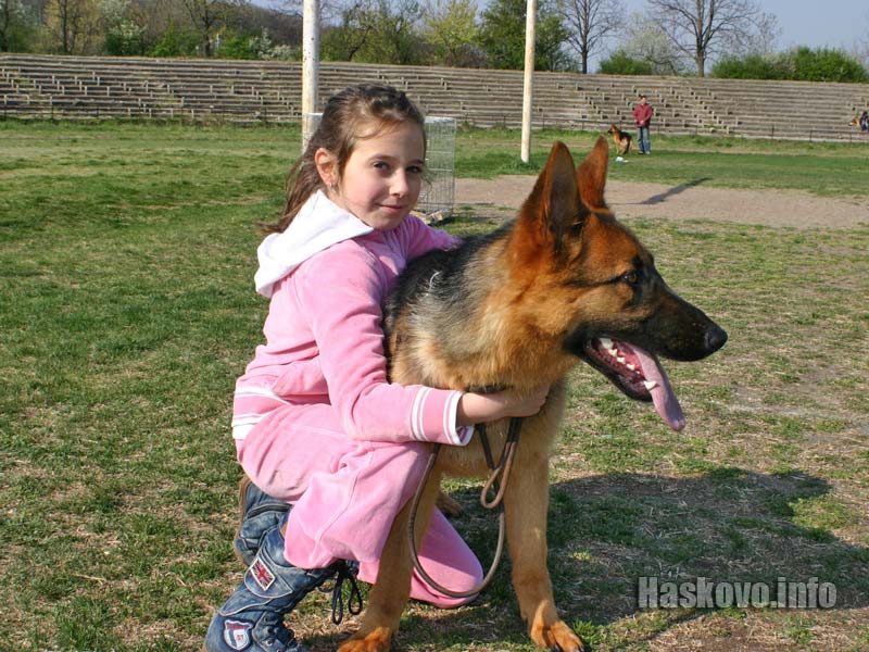 Киноложка изложба Киноложка изложба