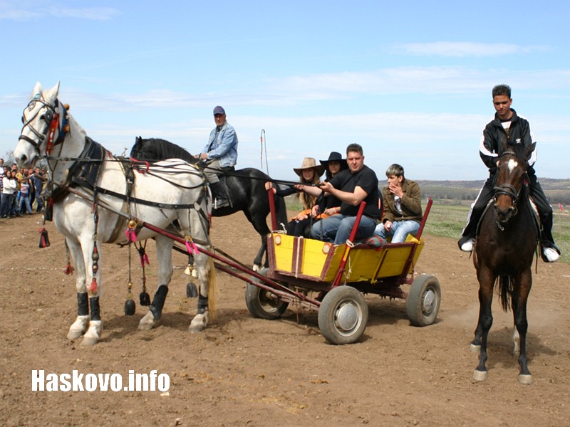 Кушия