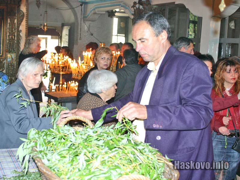 Цветница в Хасково Цветница в Хасково