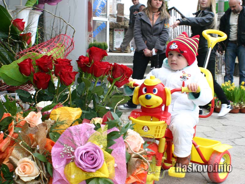 Цветя за 8 март Цветя за 8 март