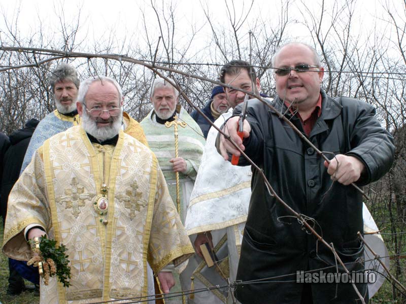 Кметът на Харманли Михаил Лисков зарязва лозята Кметът на Харманли Михаил Лисков зарязва лозята