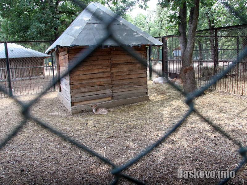 Малкото с майка си