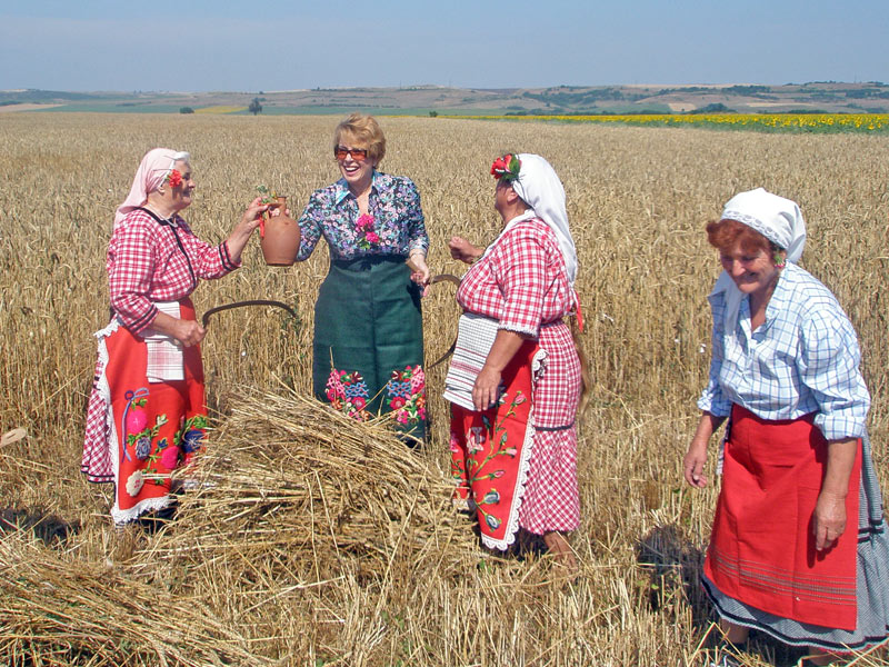 Емилия Масларова на жътва