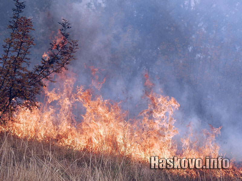Пожарът край Динево