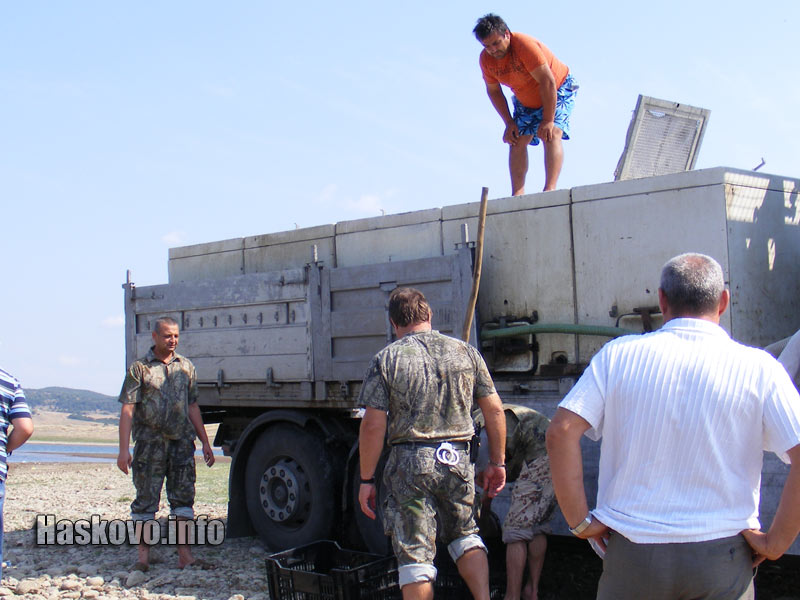Зарибяването Зарибяването
