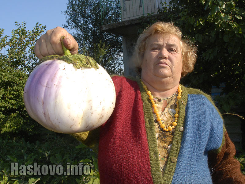 Патладжан Патладжан