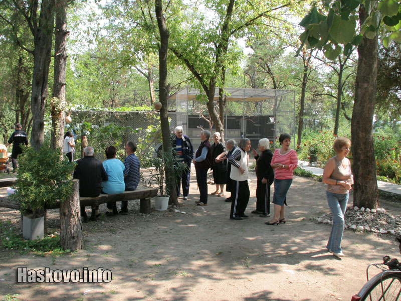 Дворът на Старческия дом