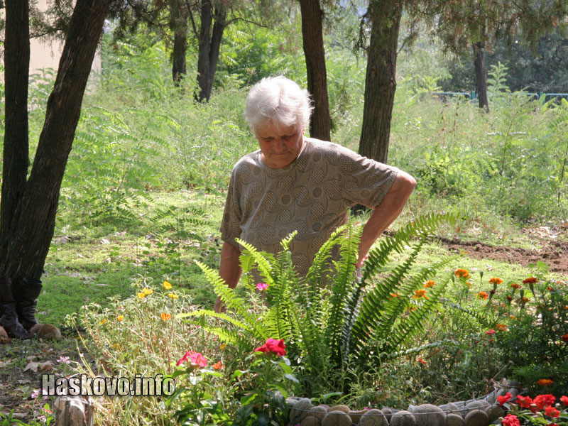 Цветните лехи