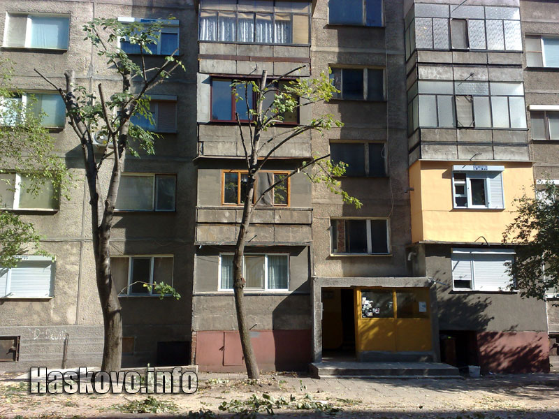 Подкастрените дървета