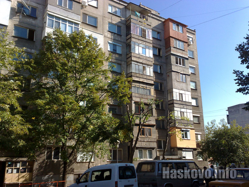 Работниците на Екопрогрес успяха да подкастрат само 2 дървета