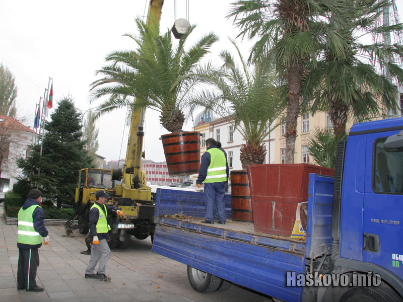 Вдигат палмите Вдигат палмите