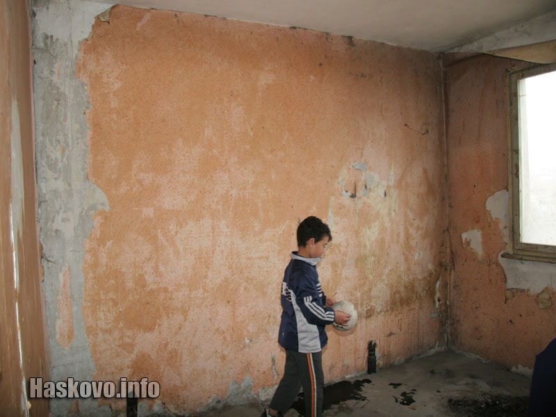 Холът Холът