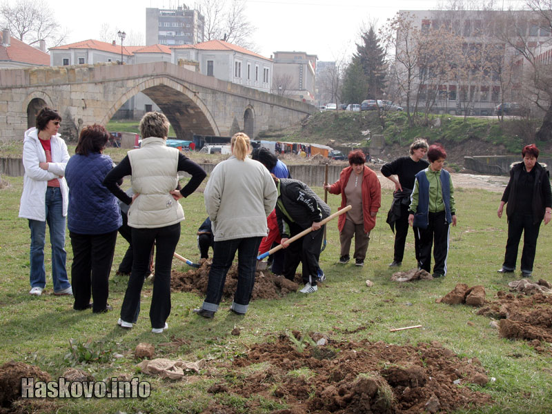 500 дръвчета за 500 години Харманли 500 дръвчета за 500 години Харманли