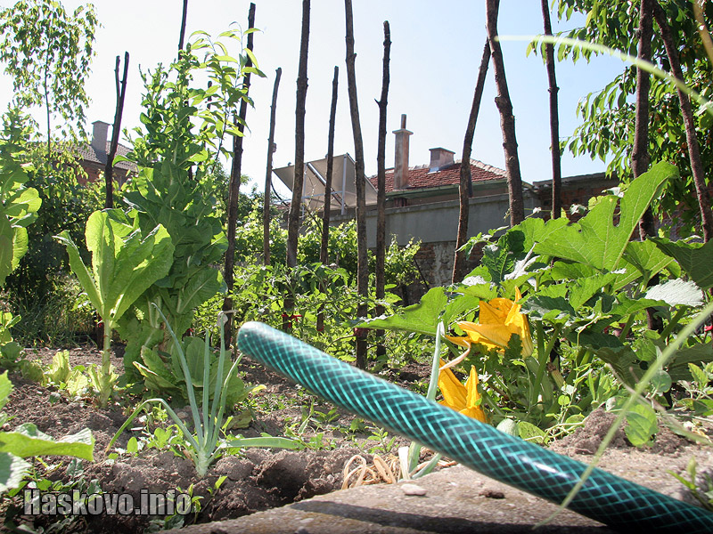 Ангелов полива посевите  Ангелов полива посевите