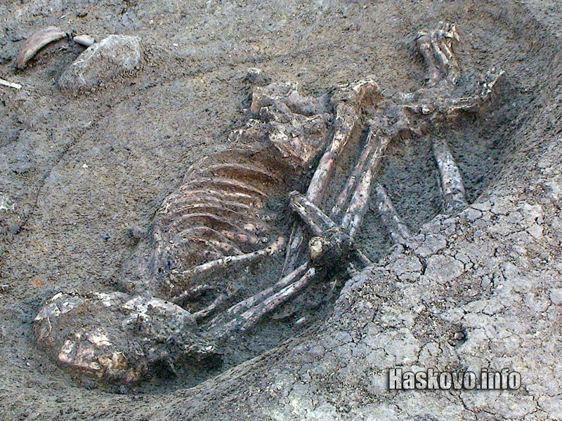 Скелетът