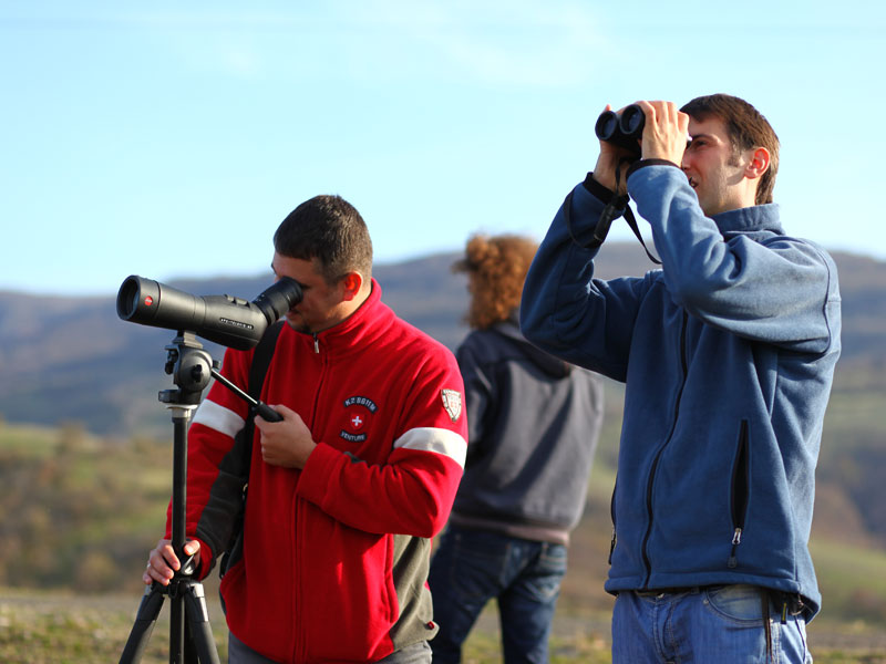 Броенето на лешоьдите