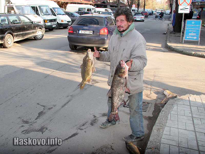 Шараните зарадваха някои