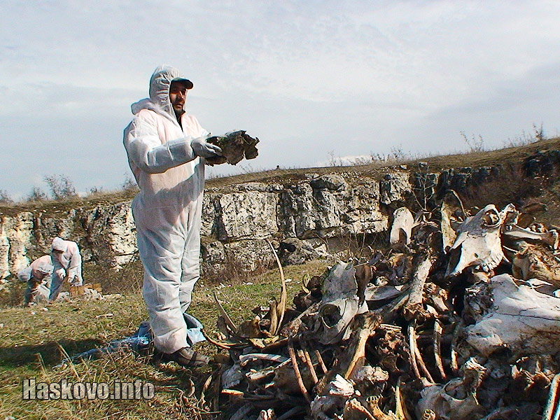 Събирането на костите