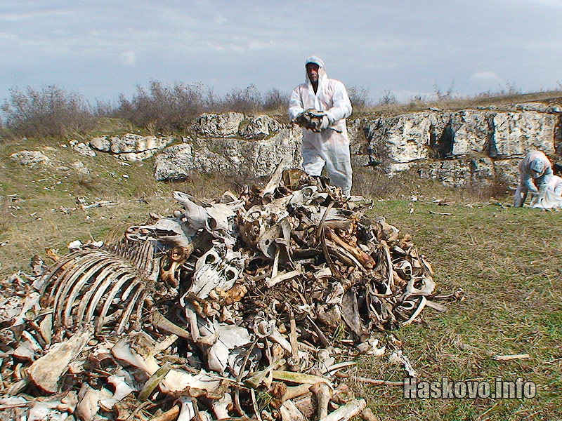 Събирането на костите Събирането на костите