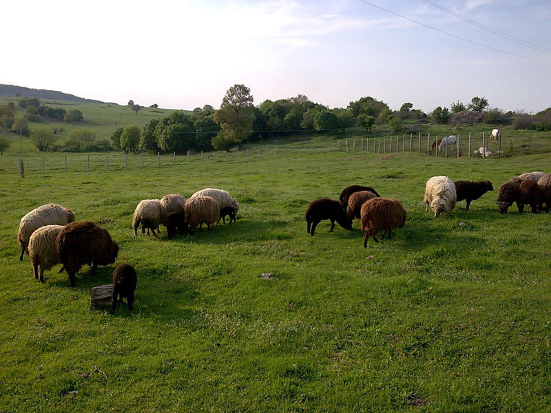 Илюстрация