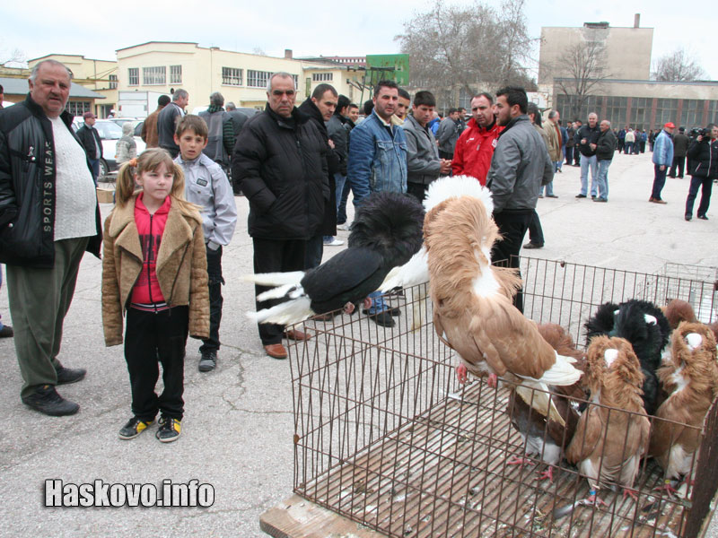 Изложението