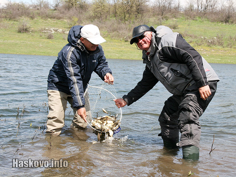 Зарибяване