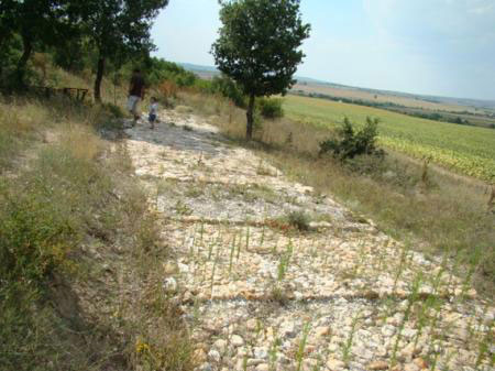 Запазена отсечка