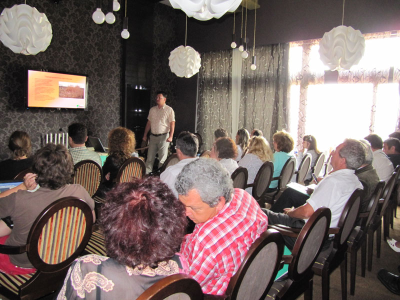 Кръглата маса