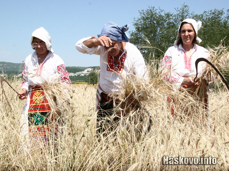 Лимец Лимец