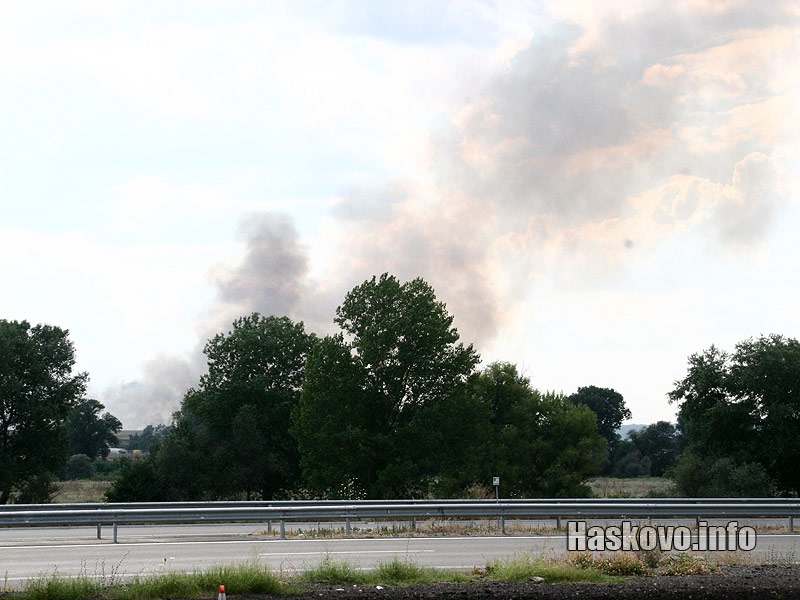Пожара край Любимец