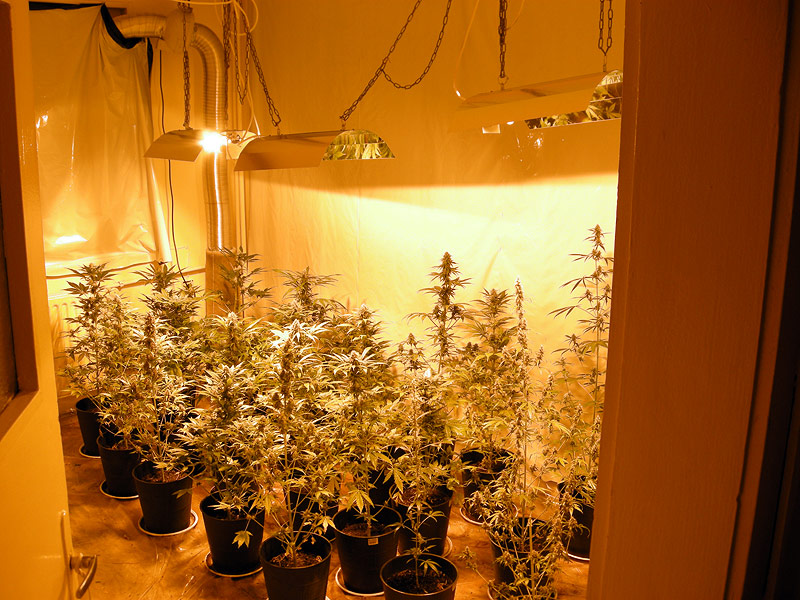 Нарколабораторията, снимки:МВР