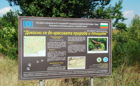 Проектът