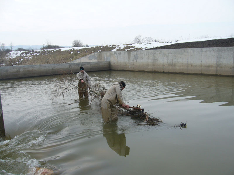 Река Мартинка Река Мартинка