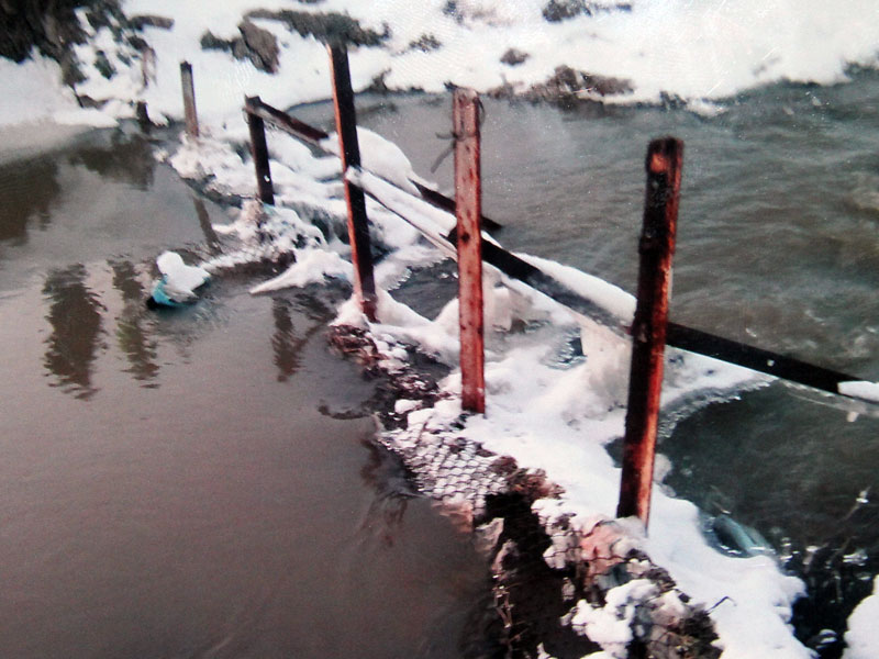 Язовир Елена Язовир Елена