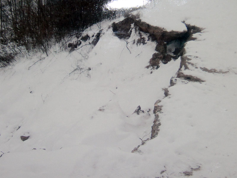 Язовир Елена Язовир Елена