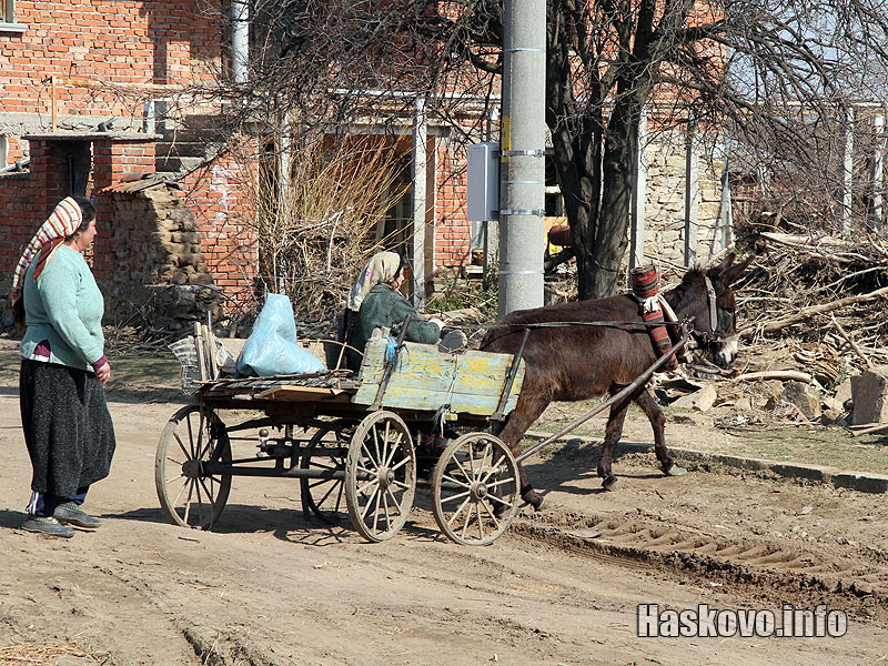 Кражби в Бисер