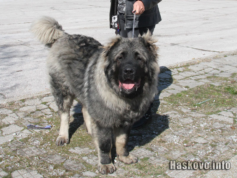 Изложбата