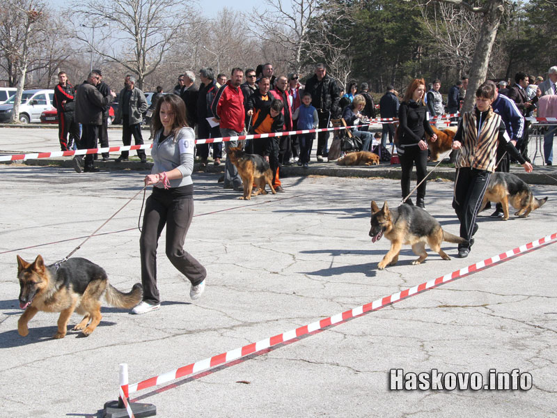 Изложбата