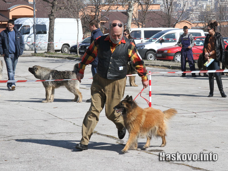 Изложбата