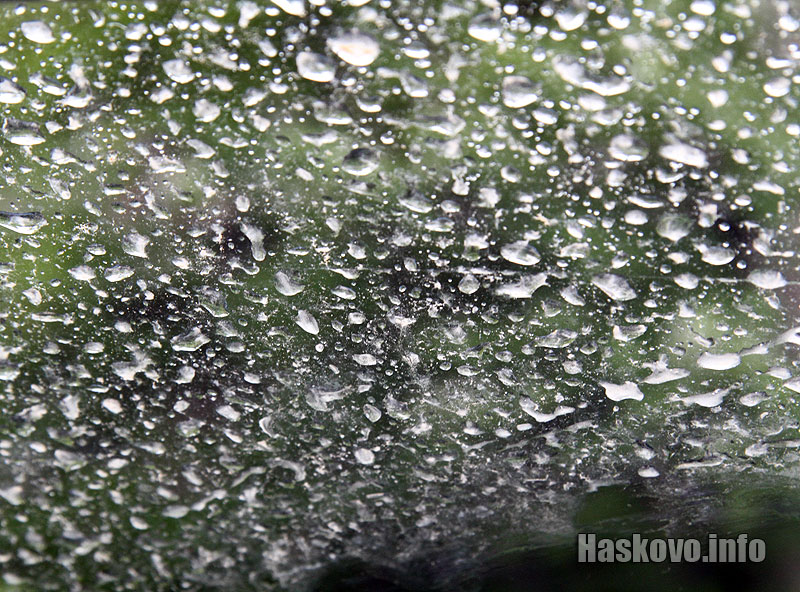 Дъждът Дъждът