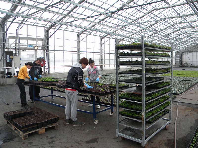 Практиката в Норвегия Практиката в Норвегия