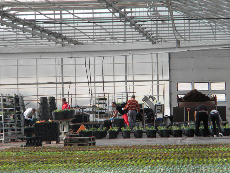 Практиката в Норвегия Практиката в Норвегия