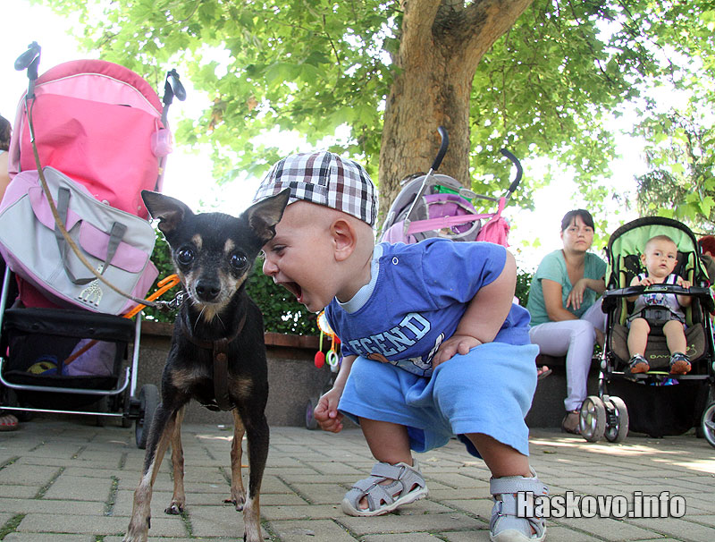 Протеста на майките