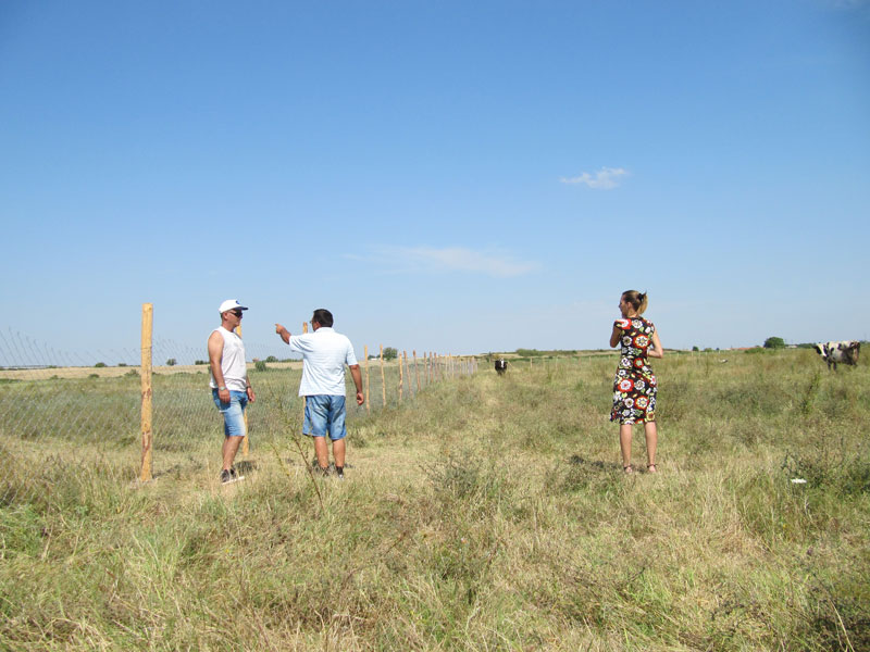 Защитената местност