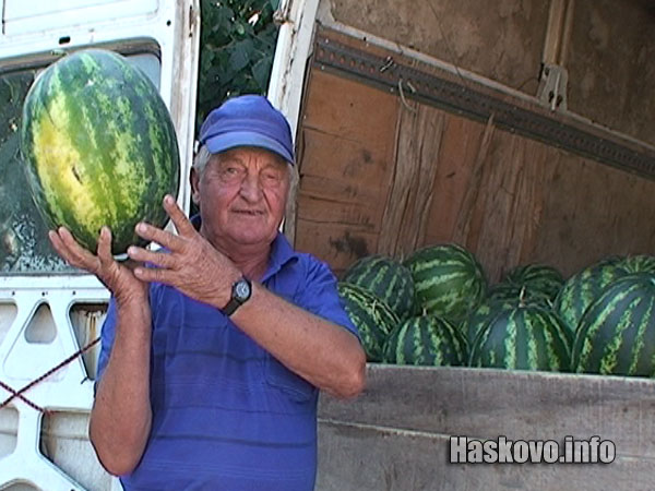 Борсата за дини в Любимец