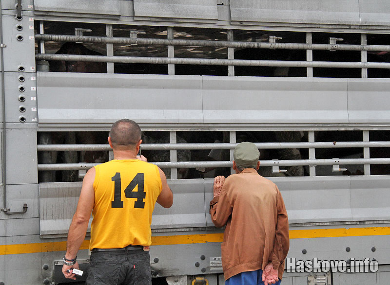 Пожарът Пожарът