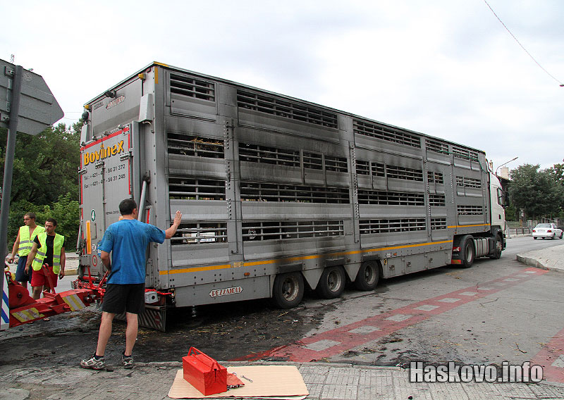 Пожарът Пожарът