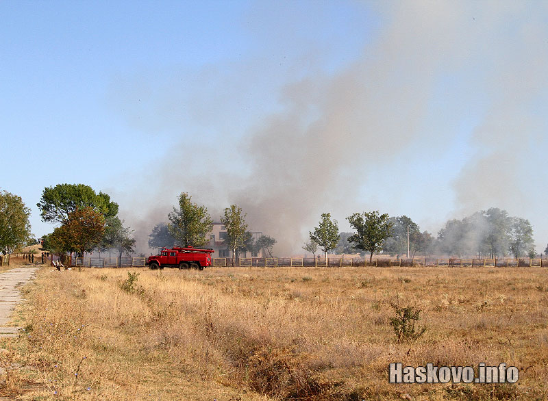 пожара край корен