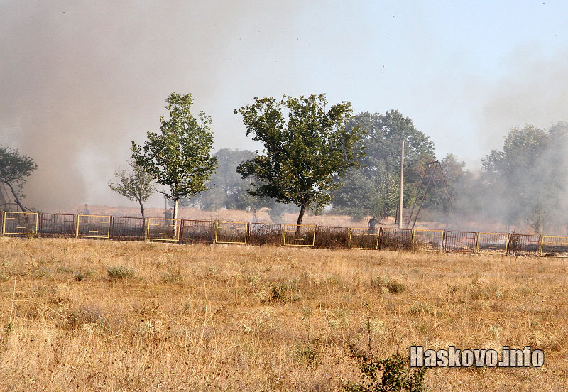 пожара край корен пожара край корен