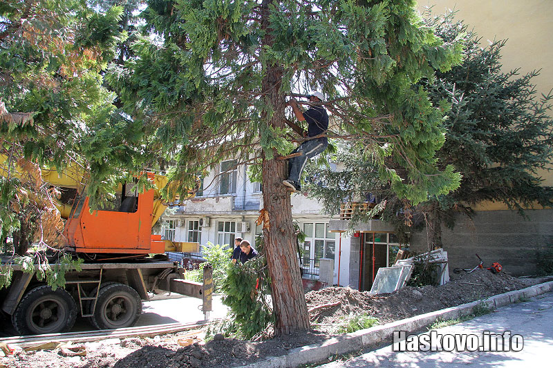 Ангиографът Ангиографът